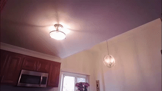 aron_ford animated gif teaser