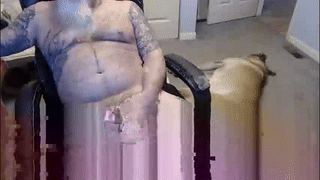 spritzer47 animated gif teaser