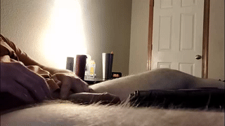 beardaddyl animated gif teaser