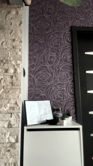 lovermike_ animated gif teaser
