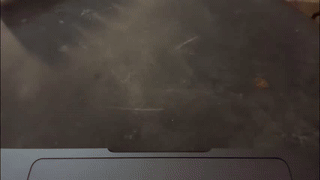 abellaconnor animated gif teaser
