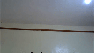 aliaa_ animated gif teaser