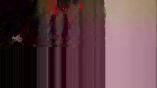 herbie_222 animated gif teaser