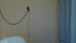 kimberlyfaysantana animated gif teaser