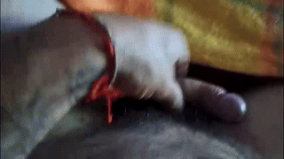 collegeitalian animated gif teaser