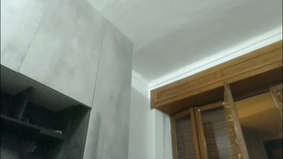 delanoboydg animated gif teaser