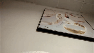 thermalsis animated gif teaser