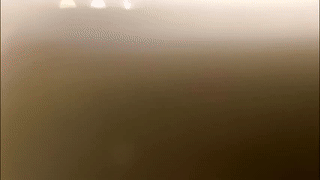 onlydiego animated gif teaser