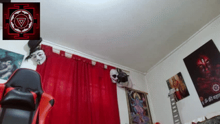 joybarker animated gif teaser