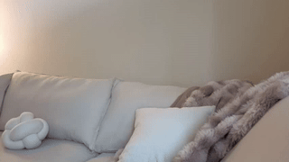 carlottabradney animated gif teaser