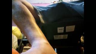 max_dic1 animated gif teaser
