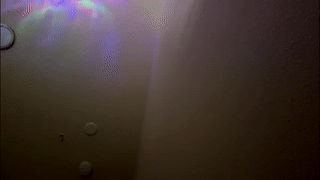 isabellanylon animated gif teaser