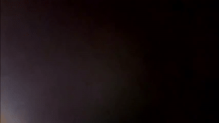 gonzotrash animated gif teaser