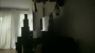 felicaste animated gif teaser