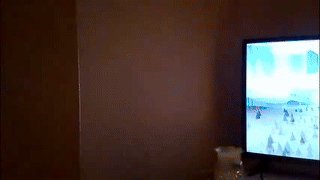guntermeiner animated gif teaser