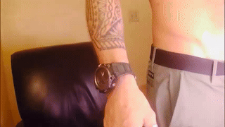 otter_mark animated gif teaser