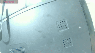 siravelle animated gif teaser