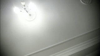 silvrfoxxx animated gif teaser