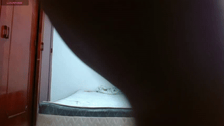 evas_soul animated gif teaser