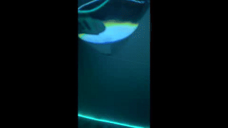 atonyajames animated gif teaser
