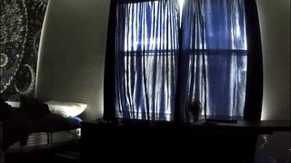 dbartmoss animated gif teaser