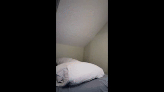 lazydarkknight animated gif teaser