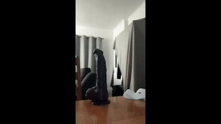 cloudy_pigdude animated gif teaser