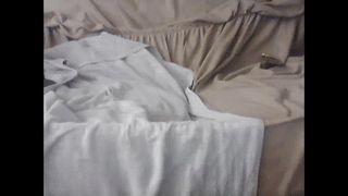 cute_brian animated gif teaser