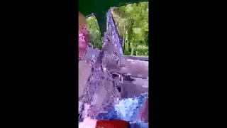 shadysinnerman animated gif teaser