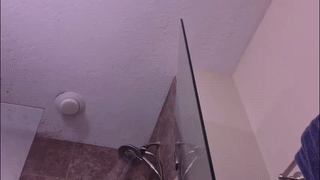 shatmil animated gif teaser