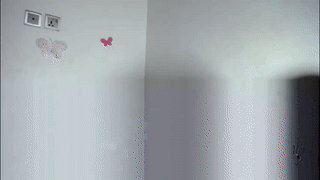 thaidream25 animated gif teaser