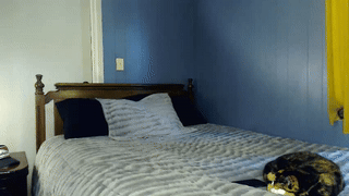 luke_sweet animated gif teaser