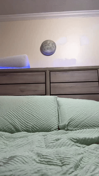 donnna19 animated gif teaser