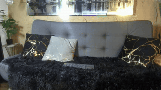 willyd83 animated gif teaser