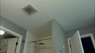 felicaste animated gif teaser
