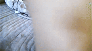 pepinplay animated gif teaser