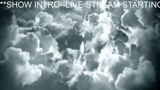 squirt_bunny77 animated gif teaser