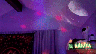 pattys_worlds animated gif teaser
