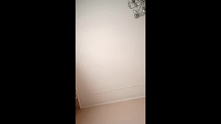 phlpjd animated gif teaser