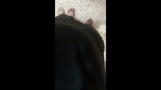 beardaddyl animated gif teaser