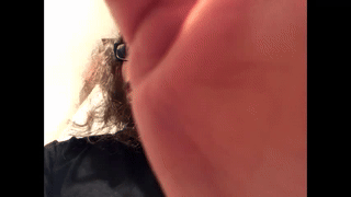 kecskes7 animated gif teaser