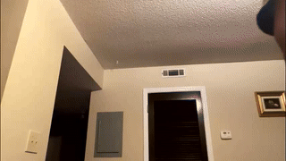 kevin_ruff animated gif teaser