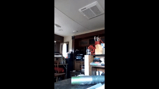 luna_and_jackson_ animated gif teaser