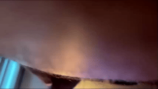opencookie animated gif teaser