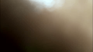 lukecrews animated gif teaser