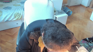 shachatte animated gif teaser