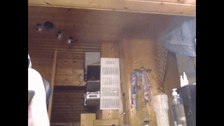 ades_lowe animated gif teaser