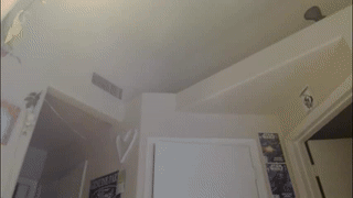 luckaisha animated gif teaser