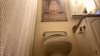 tom_254 animated gif teaser
