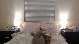 tinatemptsxxx animated gif teaser